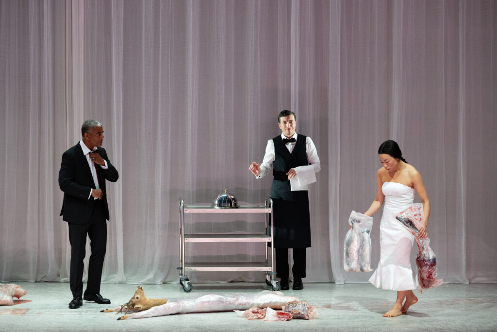 Die Vegetarierin am Akademietheater Wien