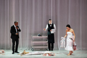 Die Vegetarierin am Akademietheater Wien